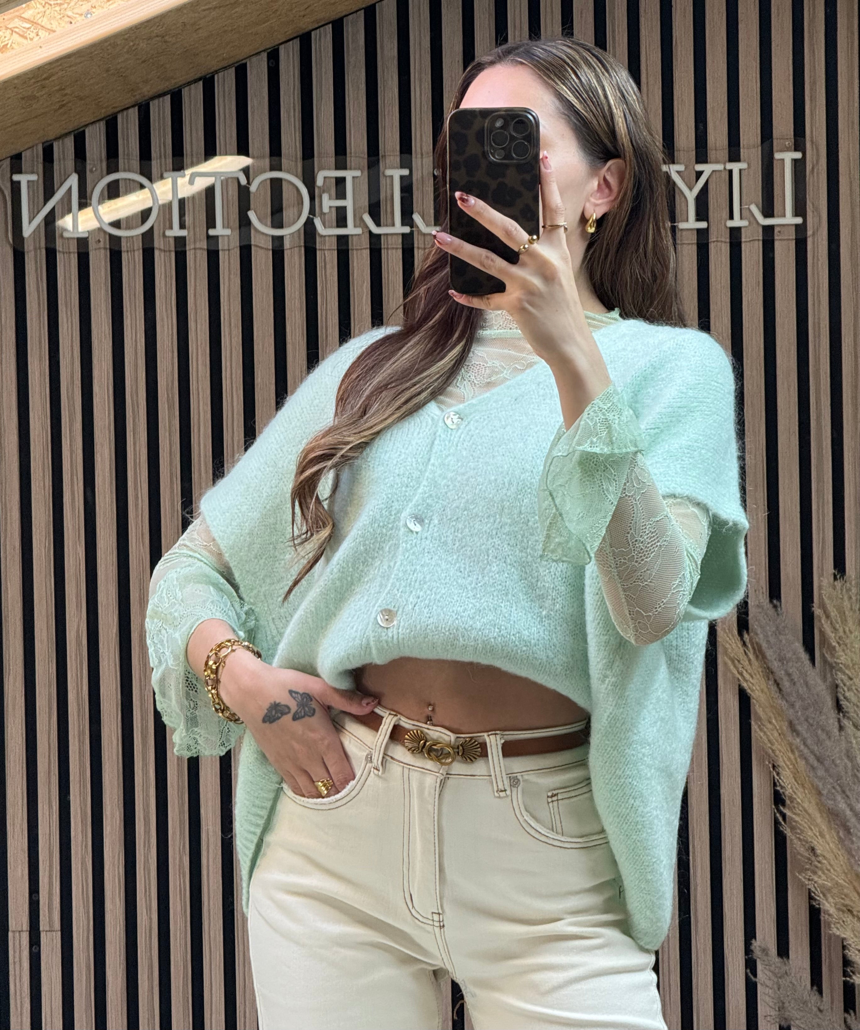 Pull Roxane Vert Pastel