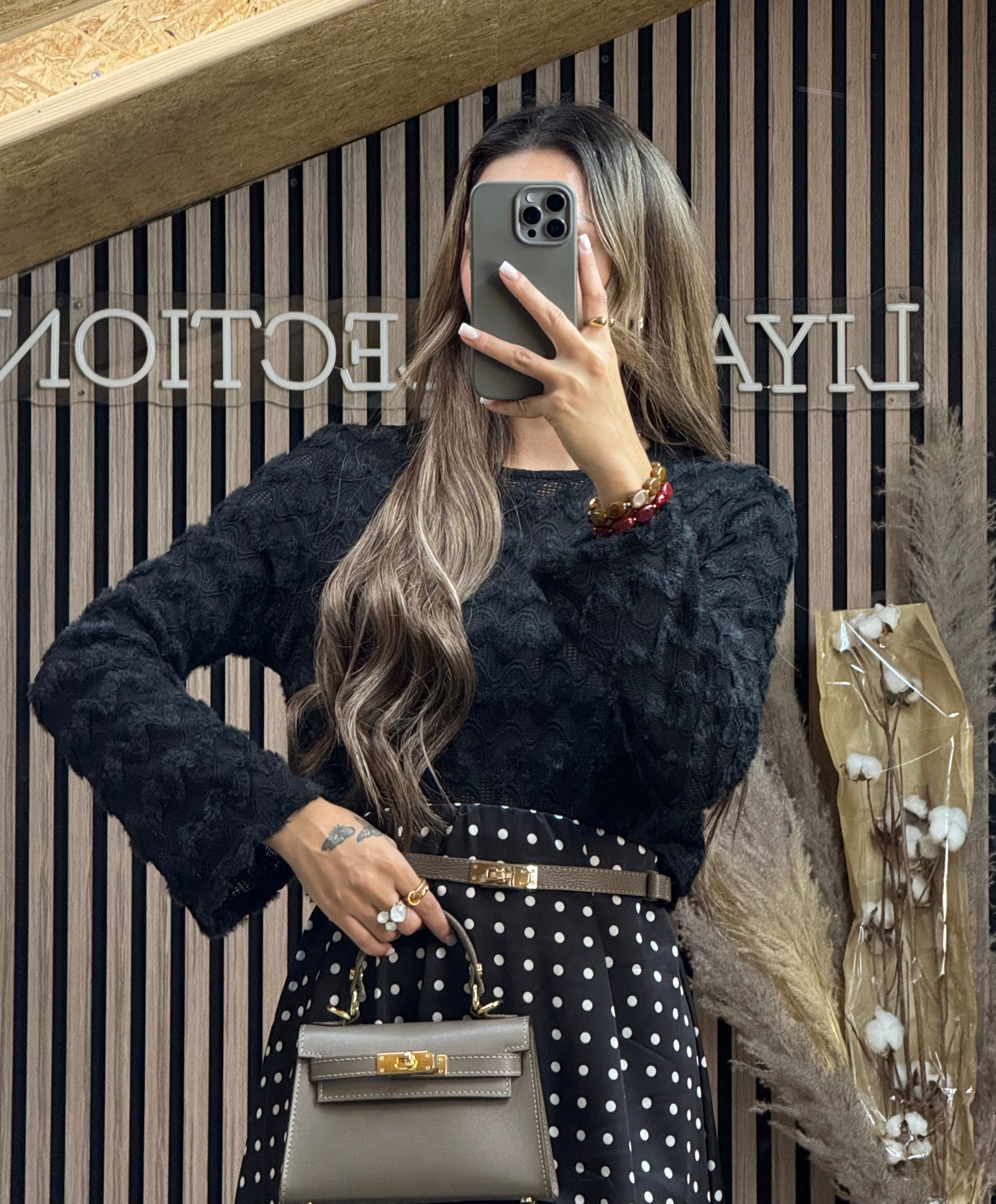Top Ilina